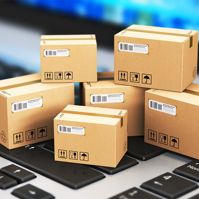 import-export-e-scouting